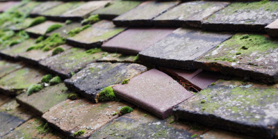Coed Y Caerau roof repair costs